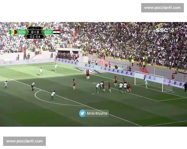 世界杯比分直播最新动态解析球迷最关注赛事焦点揭秘